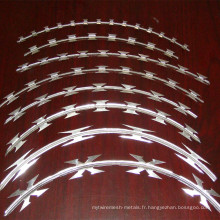 Clôture de sécurité Concertina Razor Wire